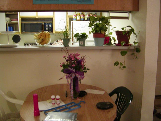 Apartment - Dining table, birthday flowers, kitchen, plants