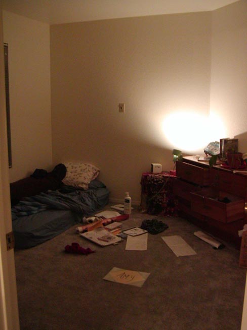 Apartment - my bedroom from the door