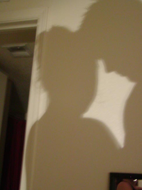 Dec 11 '04 shadow 1