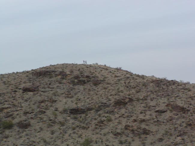 Nov 20 '04 Matthew and Daniel up top