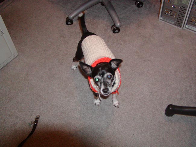 kalayna sweater1